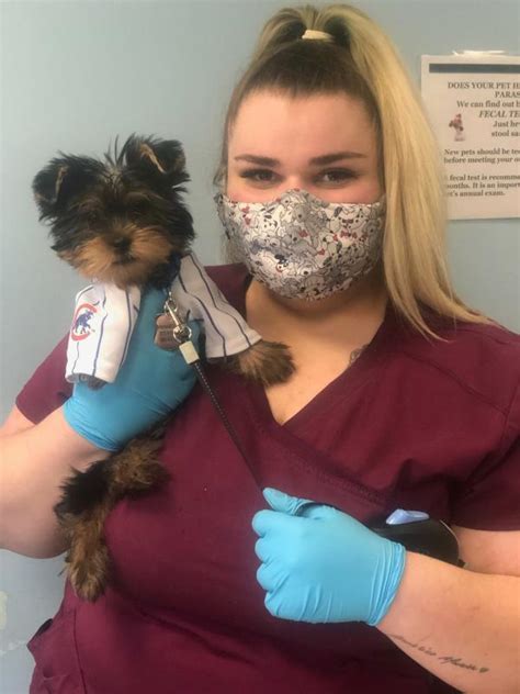 People for animals nj - Hillside - People For Animals. The Hillside surgery days are Monday through Thursday and by appointment only. To schedule an appointment you can click here to schedule it online or call (973)-282-0890. If you have a dog. Check in: 7:15am. Pickup: 3:30pm. If you have a cat. Check in: 8:15am. Pick up: 4:30pm. Schedule Surgery at Clinic. Directions. 